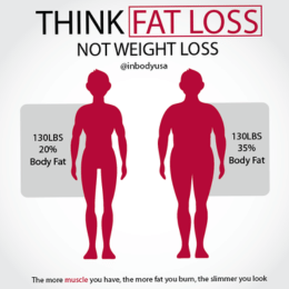 Body Composition analysis
