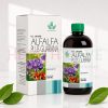 LIQUID ALFALFA PLUS GUARANA 500ML 2 Liquid Alfalfa Plus Guarana 500ml